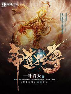 這個海賊背靠正義