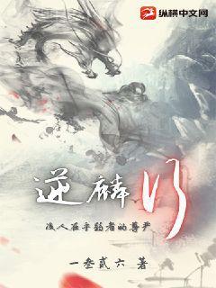 無限斯特拉托斯戰刃天使